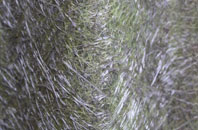 Cliton Manor fibreglass roof work